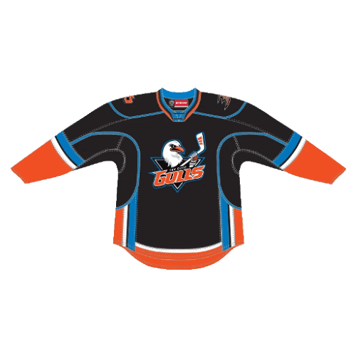 San Diego Gulls 1st